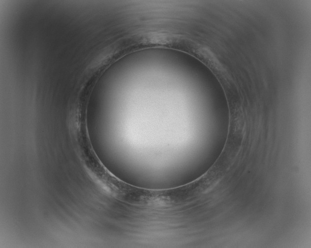 X0000070240683200606021130
