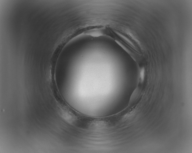 X0000070240685200606021130