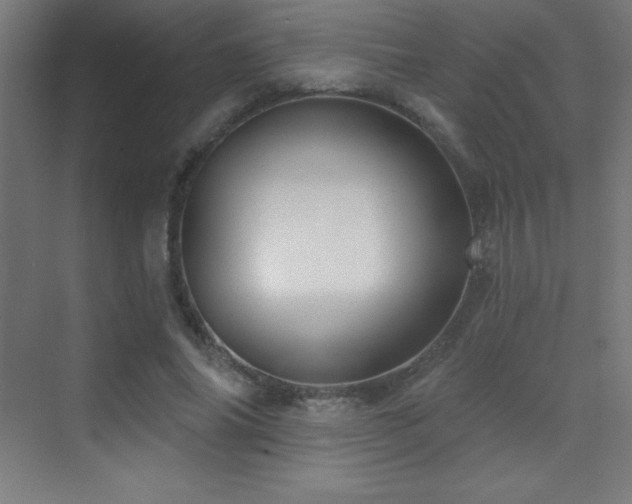X0000070240686200606021130