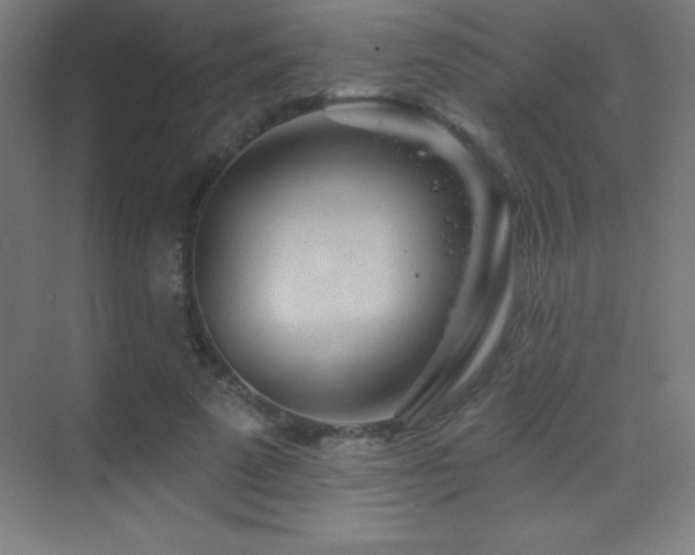 X0000070240689200606021130