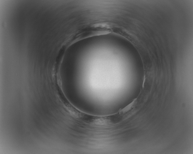 X0000070240708200606021130