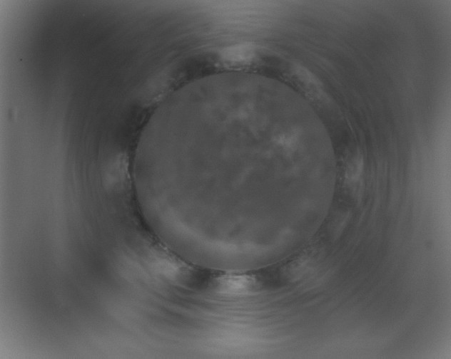 X0000070240711200606021130