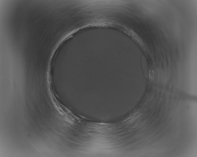 X0000070240724200606021129