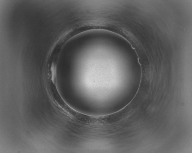 X0000070240731200606021129