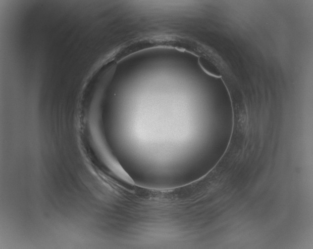 X0000070240732200606021129