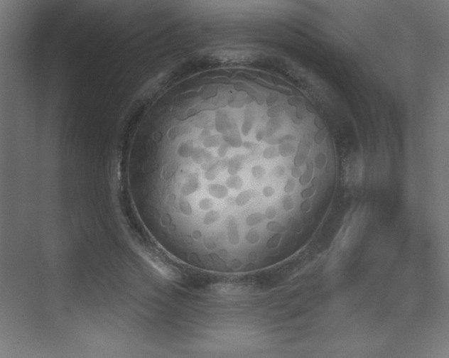 X0000070240733200606021129
