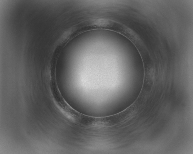 X0000070240734200606021129
