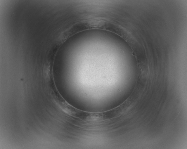 X0000070240745200606021129