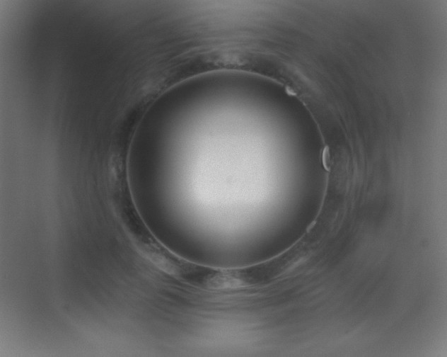 X0000070240747200606021129