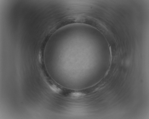 X0000070240748200606021129