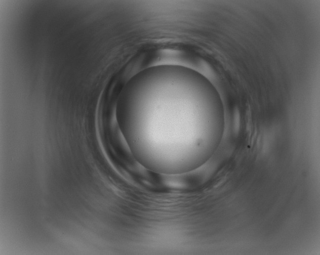 X0000070240750200606021130