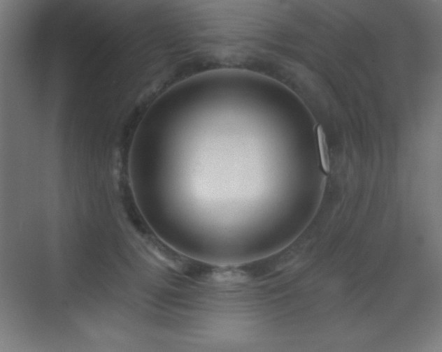 X0000070240752200606021130