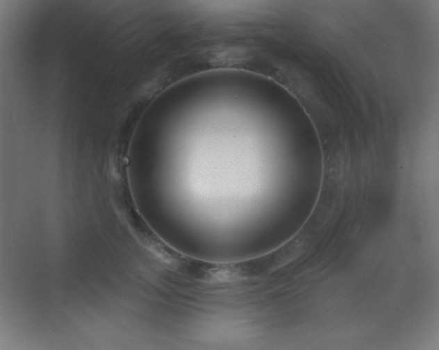 X0000070240755200606021130
