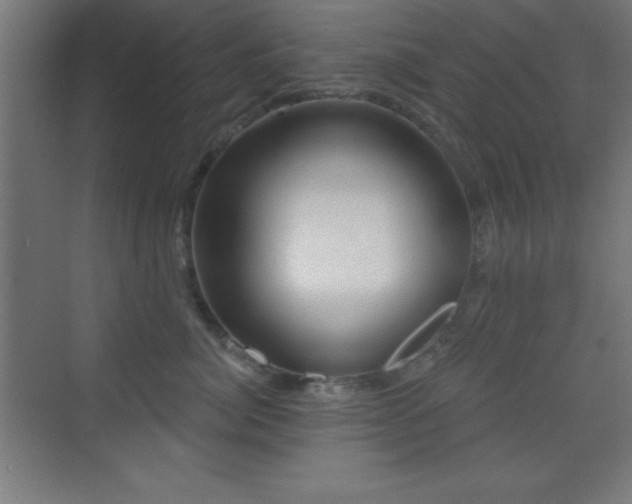 X0000070240764200606021130