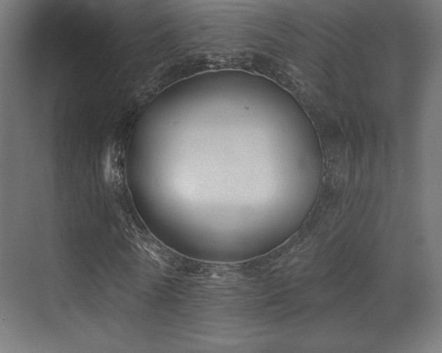 X0000070240770200606021129