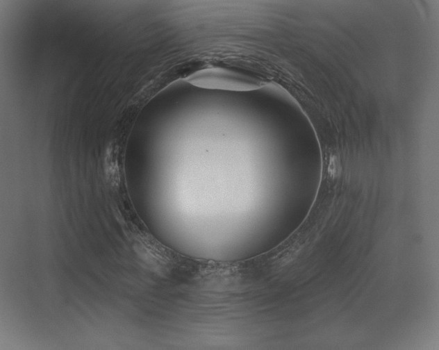 X0000070240771200606021129