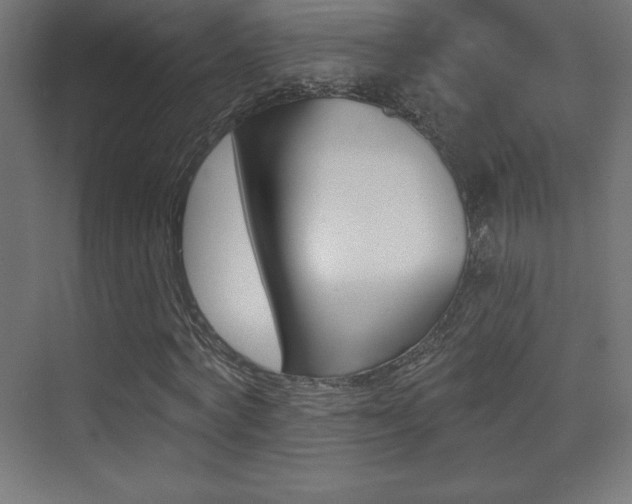 X0000070240772200606021129