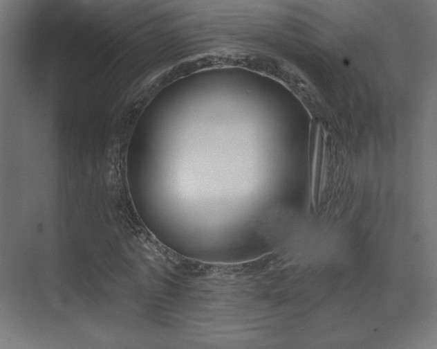 X0000070240773200606021129