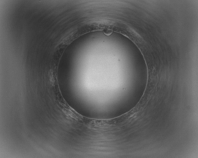 X0000070240774200606021129