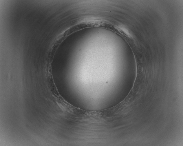 X0000070240775200606021129