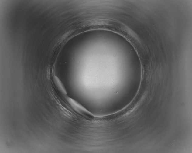X0000070240777200606021129