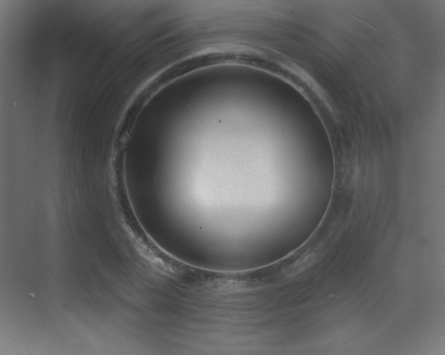 X0000070240783200606021129