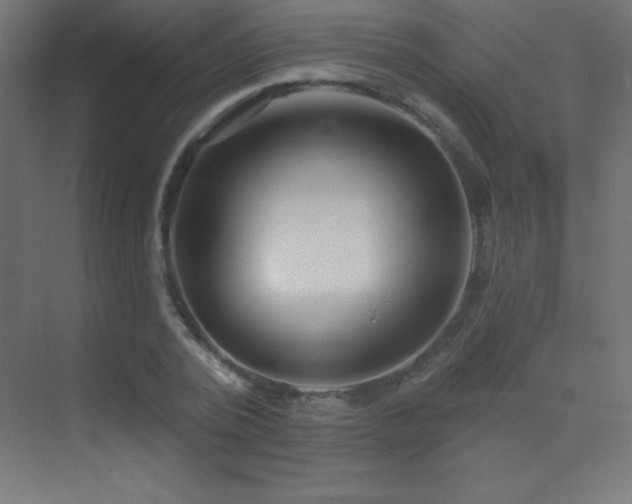 X0000070240784200606021129