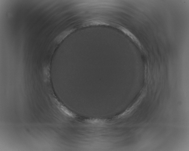 X0000070240785200606021129