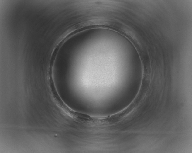 X0000070240786200606021129