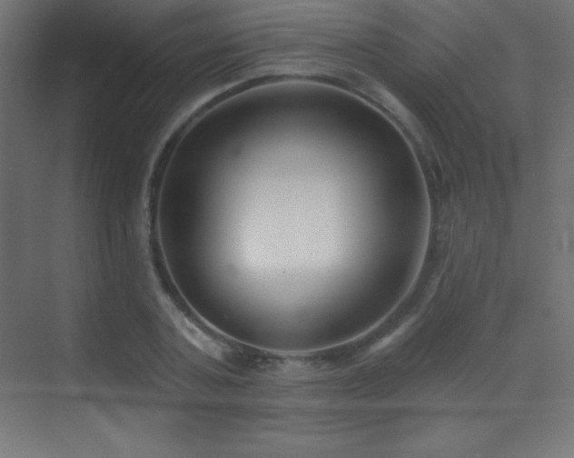 X0000070240787200606021129