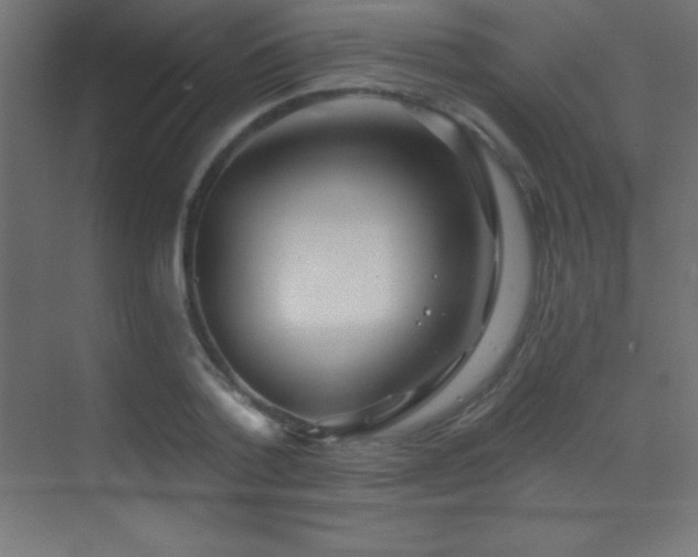 X0000070240788200606021129