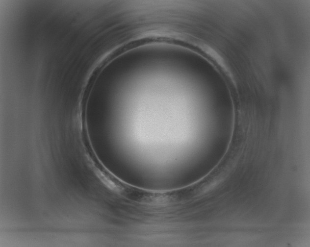 X0000070240791200606021129