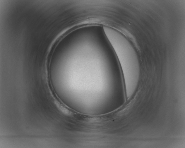 X0000070240792200606021129