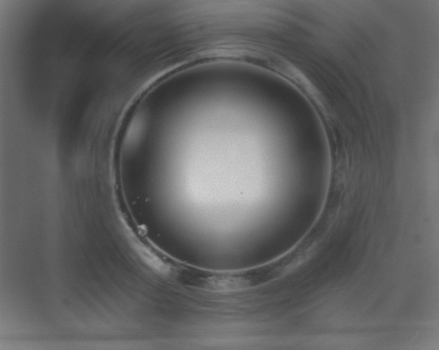 X0000070240795200606021129
