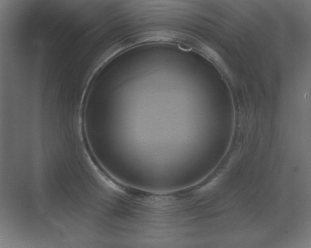 X0000070240802200606021128
