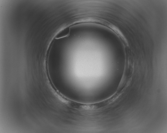 X0000070240805200606021128