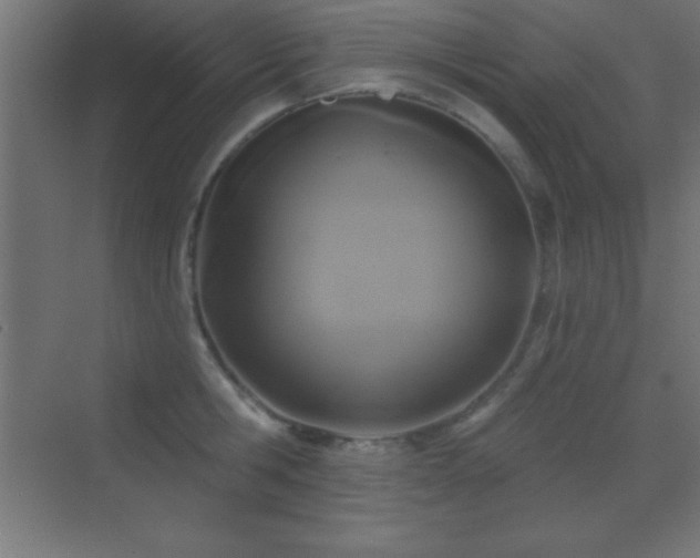 X0000070240806200606021128