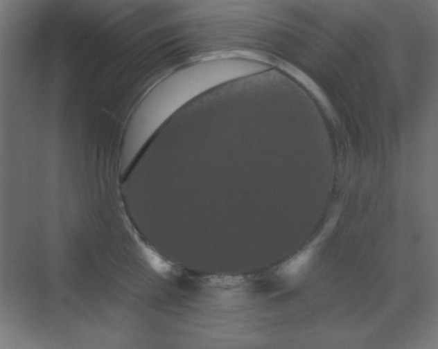 X0000070240809200606021128