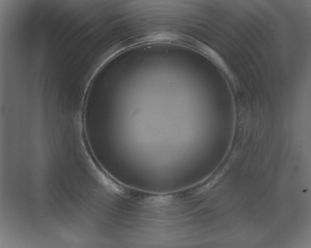 X0000070240810200606021128