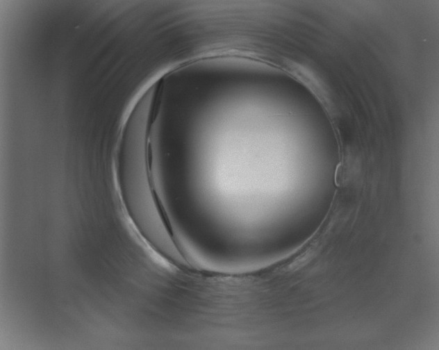 X0000070240812200606021128