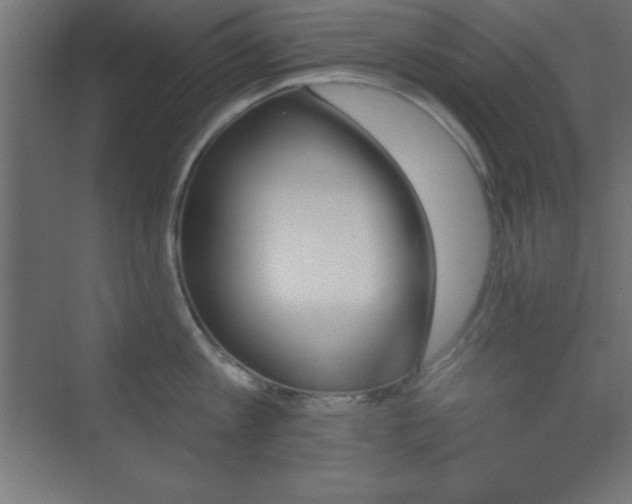 X0000070240813200606021128