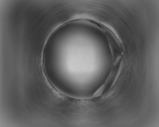 X0000070240815200606021128