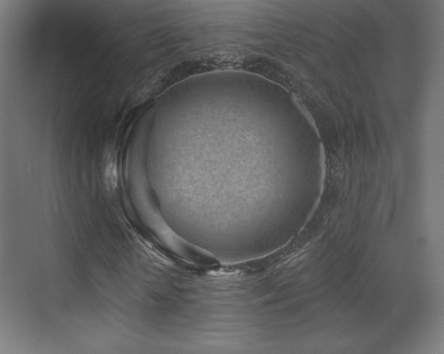 X0000070240818200606021127