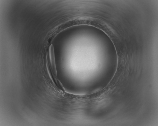 X0000070240821200606021127