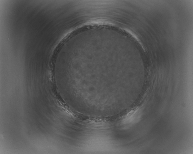 X0000070240823200606021128