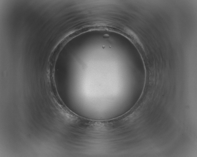 X0000070240827200606021128