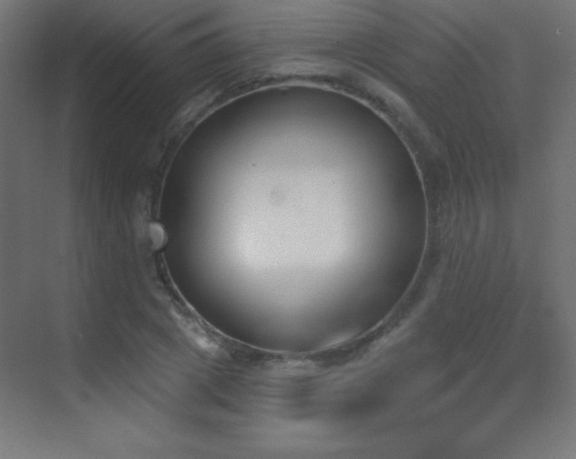 X0000070240833200606021128