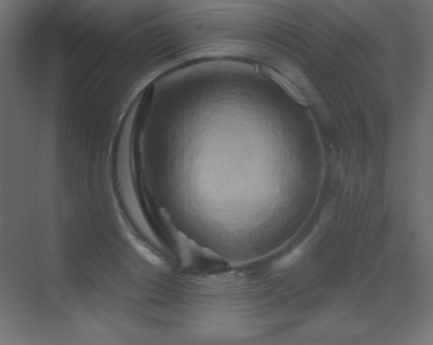 X0000070240842200606021128