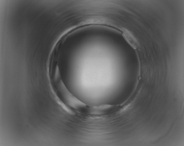 X0000070240846200606021128