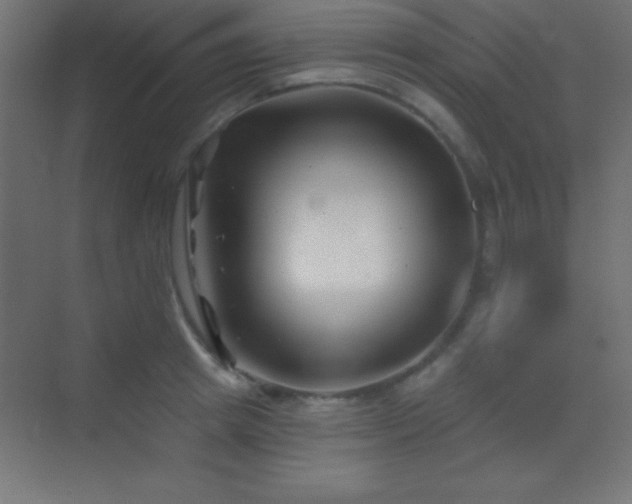 X0000070240849200606021128